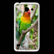 Coque Huawei Y550 Oiseau Inséparable