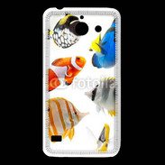 Coque Huawei Y550 Poisson 1