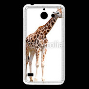 Coque Huawei Y550 Girafe