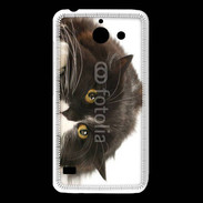 Coque Huawei Y550 Chat noir et blanc