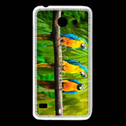 Coque Huawei Y550 Trois perroquets bleu et jaune