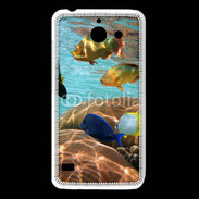 Coque Huawei Y550 Poissons et coraux 5