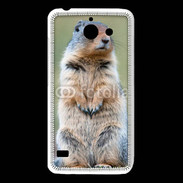 Coque Huawei Y550 Marmotte 2