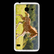 Coque Huawei Y550 Poulain dans un champs