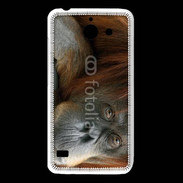 Coque Huawei Y550 Portrait de singe