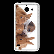 Coque Huawei Y550 Gardien de lapins