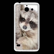 Coque Huawei Y550 Raton laveur dans un arbre