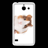 Coque Huawei Y550 Cochon d'inde 2