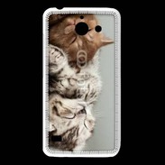 Coque Huawei Y550 Sieste de chatons