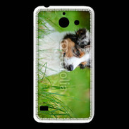 Coque Huawei Y550 Berger australien