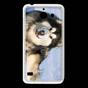 Coque Huawei Y550 Chien d'Alaska