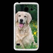 Coque Huawei Y550 Portrait de Chien Golden 5