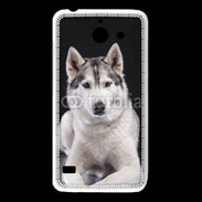 Coque Huawei Y550 Chien Husky de Sibérie
