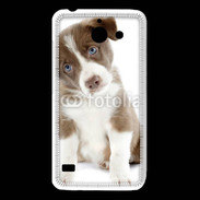 Coque Huawei Y550 Chiot Colley marron et blanc