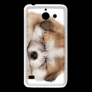 Coque Huawei Y550 Chiot chien loup 5