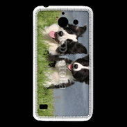 Coque Huawei Y550 Chien Border Collie noir et blanc