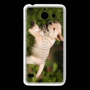 Coque Huawei Y550 Chiot labrador 3