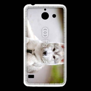Coque Huawei Y550 Chien Husky de Sibérie 2