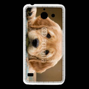 Coque Huawei Y550 Chiot labrador golden 2