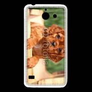 Coque Huawei Y550 Chiot King Charles 2