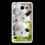 Coque Huawei Y550 Chien Bull terrier anglais 1