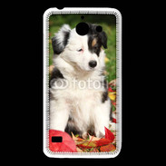 Coque Huawei Y550 Adorable chiot Border collie