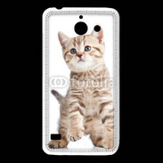 Coque Huawei Y550 Adorable chaton 7