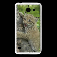 Coque Huawei Y550 Bébé Lynx