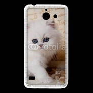 Coque Huawei Y550 Adorable chaton persan 2