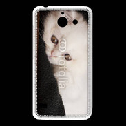Coque Huawei Y550 Chat persan blanc 5