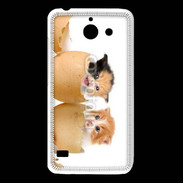 Coque Huawei Y550 Chaton dans des coquilles d'oeuf