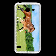 Coque Huawei Y550 Cheval et poulain 2