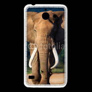 Coque Huawei Y550 Éléphant de face