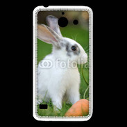 Coque Huawei Y550 Lapin et carotte