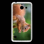 Coque Huawei Y550 Ecureuil avec des noisettes