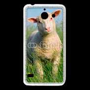 Coque Huawei Y550 Portrait d'un agneau