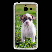 Coque Huawei Y550 Chiot American Staffordshire terrier 