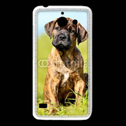 Coque Huawei Y550 Portrait d'un mastiff
