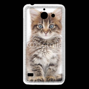 Coque Huawei Y550 Portrait d'un chaton 75
