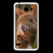 Coque Huawei Y550 Portrait d'un écureuil avec une noisette