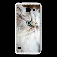 Coque Huawei Y550 Magnifique chat persan aux yeux bleus