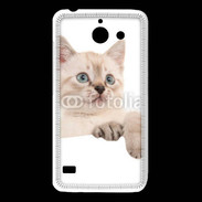 Coque Huawei Y550 Petit chaton en portrait