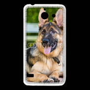 Coque Huawei Y550 Portrait d'un berger allemand adulte