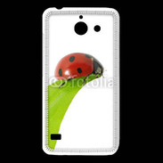 Coque Huawei Y550 Belle coccinelle 10