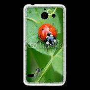 Coque Huawei Y550 Coccinelle sur une feuille