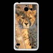 Coque Huawei Y550 Jeune félin