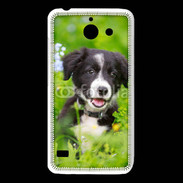 Coque Huawei Y550 Chiot Border Collie 100