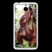 Coque Huawei Y550 Famille de singe 50