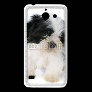 Coque Huawei Y550 Chiot Shitzu 100