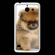 Coque Huawei Y550 Chiot Pomeranian 15